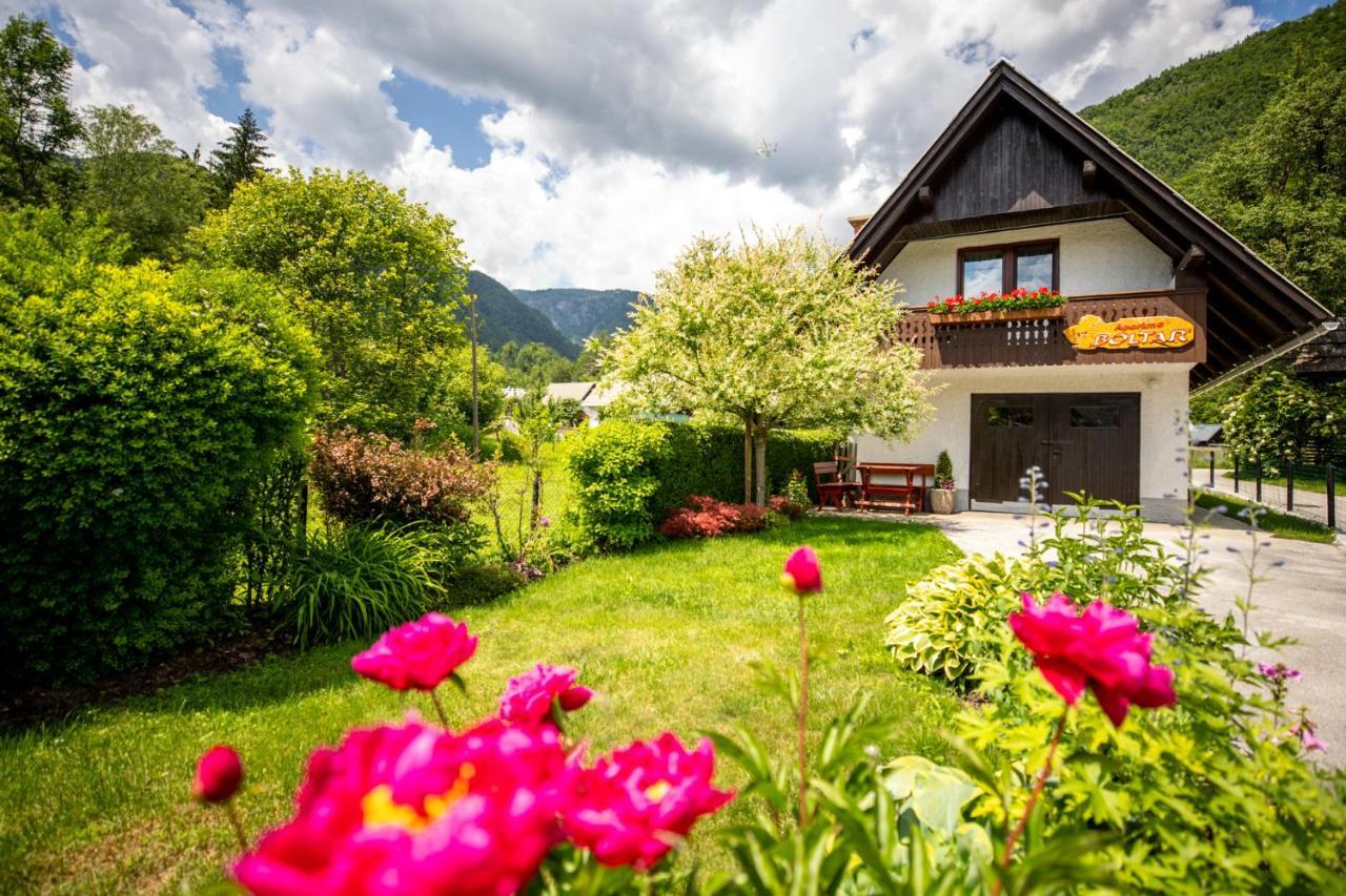 Apartma Boltar Бохинь Экстерьер фото
